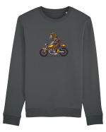 Motorcycle Lion Bluză mânecă lungă Unisex Rise