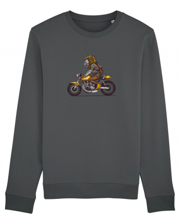 Motorcycle Lion Anthracite