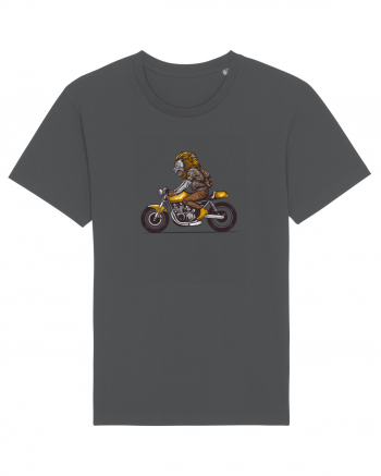 Motorcycle Lion Anthracite