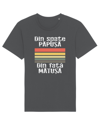 Din spate papusa, din fata matusa Anthracite