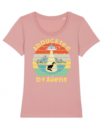 Abduckted by Aliens Vintage Sunset Canyon Pink
