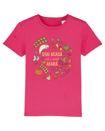 Toamna stai acasa Raspberry
