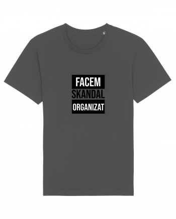 Facem SKANDAL Organizat  Anthracite