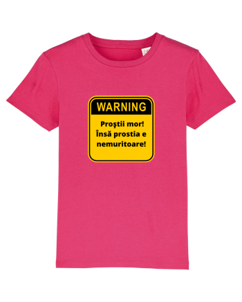 Warning! Prostii mor! Insa prostia e nemuritoare! Raspberry