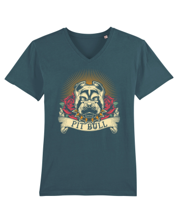 Pit Bull Stargazer