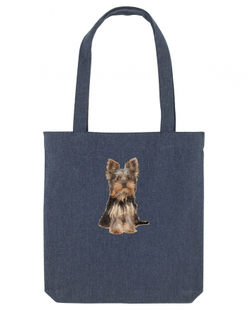 Yorkshire terrier Midnight Blue