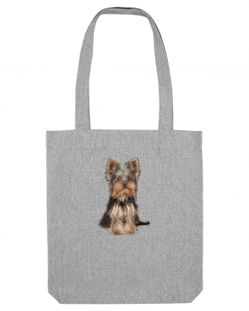 Yorkshire terrier Heather Grey