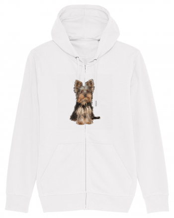 Yorkshire terrier White