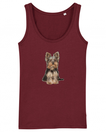 Yorkshire terrier Burgundy