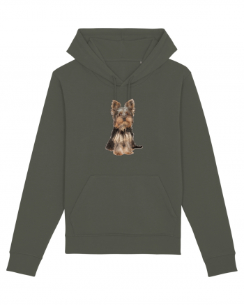 Yorkshire terrier Khaki