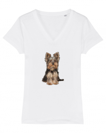 Yorkshire terrier White