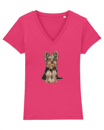 Yorkshire terrier Raspberry