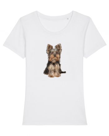 Yorkshire terrier White