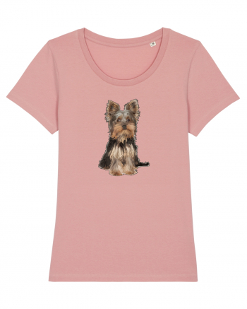 Yorkshire terrier Canyon Pink