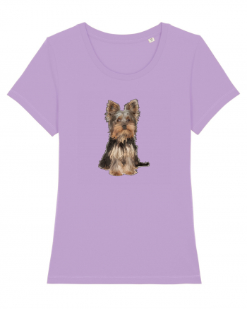 Yorkshire terrier Lavender Dawn