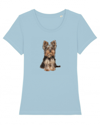 Yorkshire terrier Sky Blue