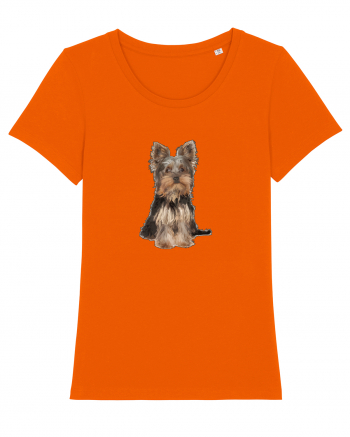 Yorkshire terrier Bright Orange