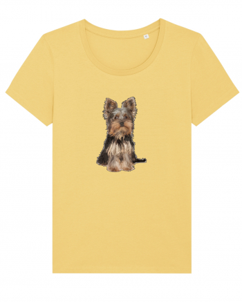 Yorkshire terrier Jojoba