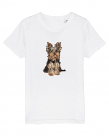 Yorkshire terrier White