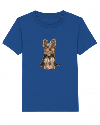 Yorkshire terrier Majorelle Blue