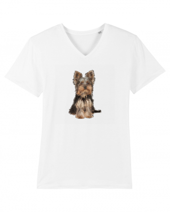 Yorkshire terrier White