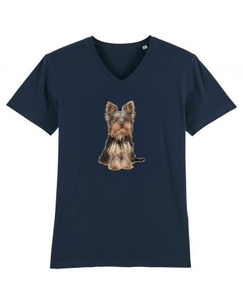 Yorkshire terrier French Navy