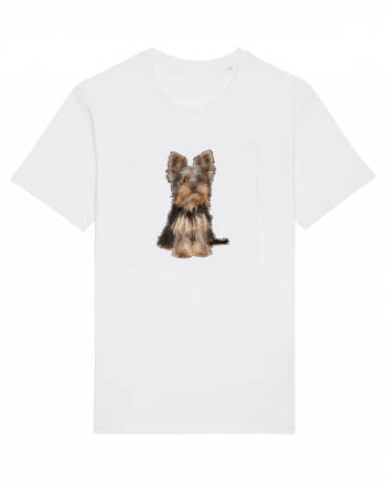 Yorkshire terrier White