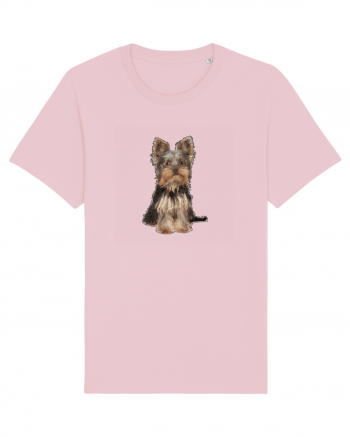 Yorkshire terrier Cotton Pink