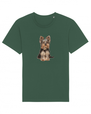 Yorkshire terrier Bottle Green