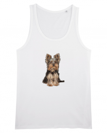 Yorkshire terrier White