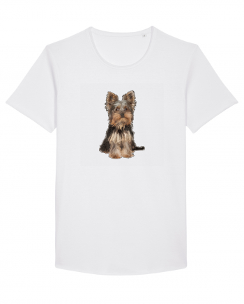 Yorkshire terrier White