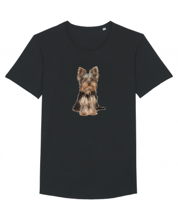 Yorkshire terrier Black