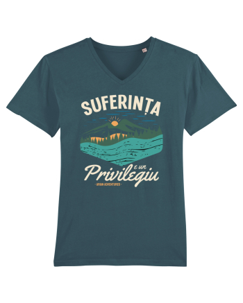 Suferinta e un privilegiu Stargazer