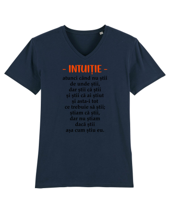 Intuitie French Navy