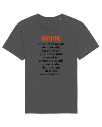 Intuitie Anthracite