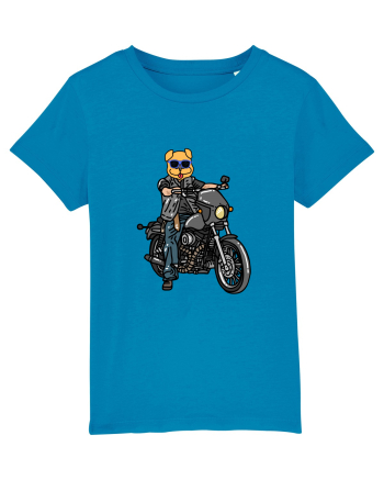 Amuzant Pentru Motociclisti Si Iubitori De Caini Azur
