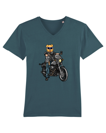Amuzant Pentru Motociclisti Si Iubitori De Caini Stargazer
