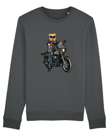 Amuzant Pentru Motociclisti Si Iubitori De Caini Anthracite