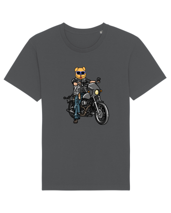 Amuzant Pentru Motociclisti Si Iubitori De Caini Anthracite