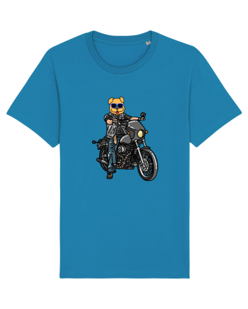 Amuzant Pentru Motociclisti Si Iubitori De Caini Azur