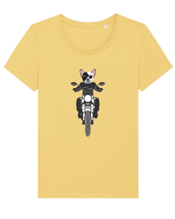 Amuzant Pentru Motociclisti Si Iubitori De Caini Jojoba