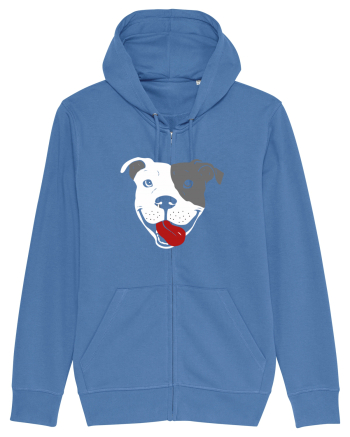 Catel Pitbull Bright Blue
