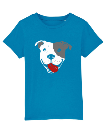 Catel Pitbull Azur