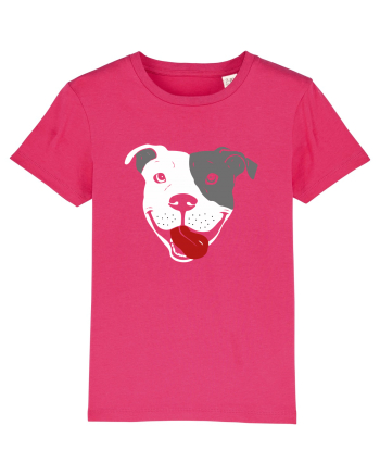 Catel Pitbull Raspberry