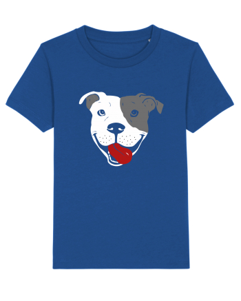 Catel Pitbull Majorelle Blue
