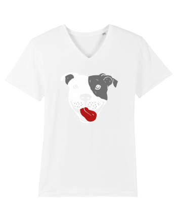 Catel Pitbull White