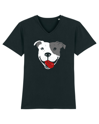 Catel Pitbull Black