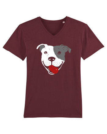 Catel Pitbull Burgundy