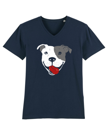 Catel Pitbull French Navy