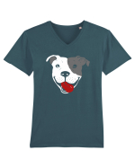 Catel Pitbull Tricou mânecă scurtă guler V Bărbat Presenter